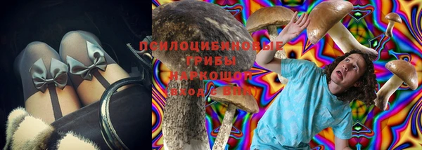 ГАЛЛЮЦИНОГЕННЫЕ ГРИБЫ Балахна