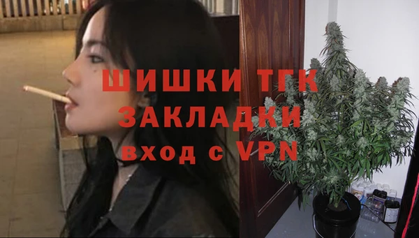ГАЛЛЮЦИНОГЕННЫЕ ГРИБЫ Балахна